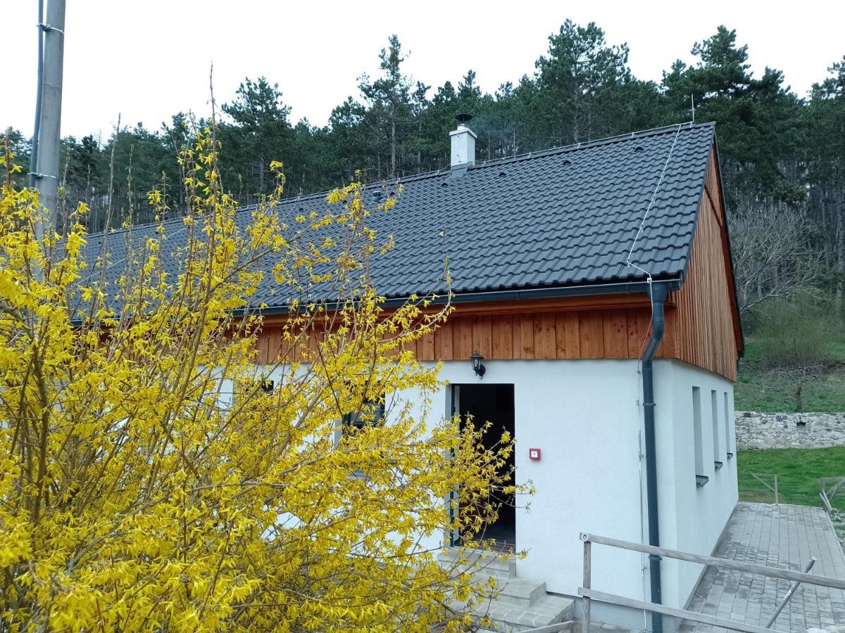 Penzion Litohlavy 17 - Na Samote U Lesa Králŭv Dvŭr Dış mekan fotoğraf