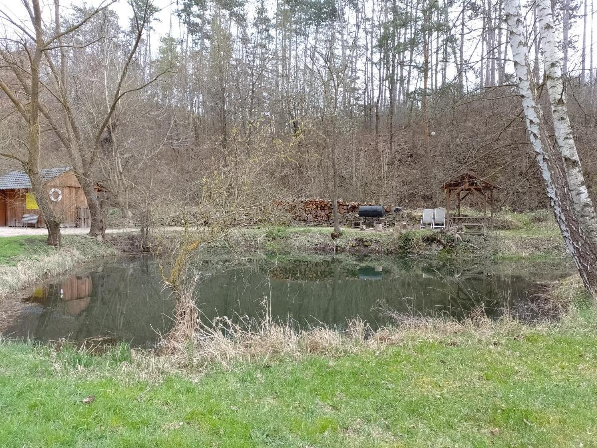 Penzion Litohlavy 17 - Na Samote U Lesa Králŭv Dvŭr Dış mekan fotoğraf
