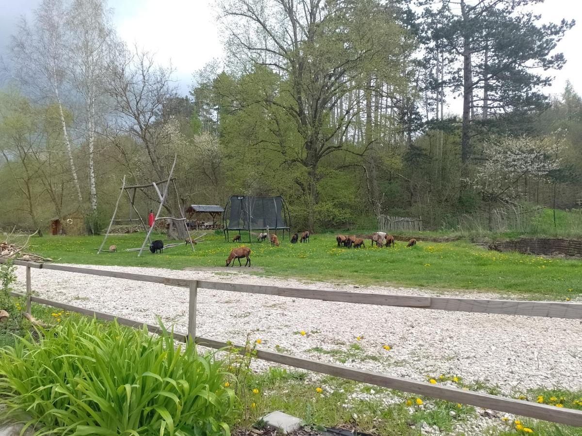 Penzion Litohlavy 17 - Na Samote U Lesa Králŭv Dvŭr Dış mekan fotoğraf