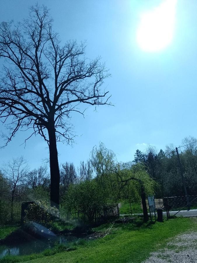 Penzion Litohlavy 17 - Na Samote U Lesa Králŭv Dvŭr Dış mekan fotoğraf