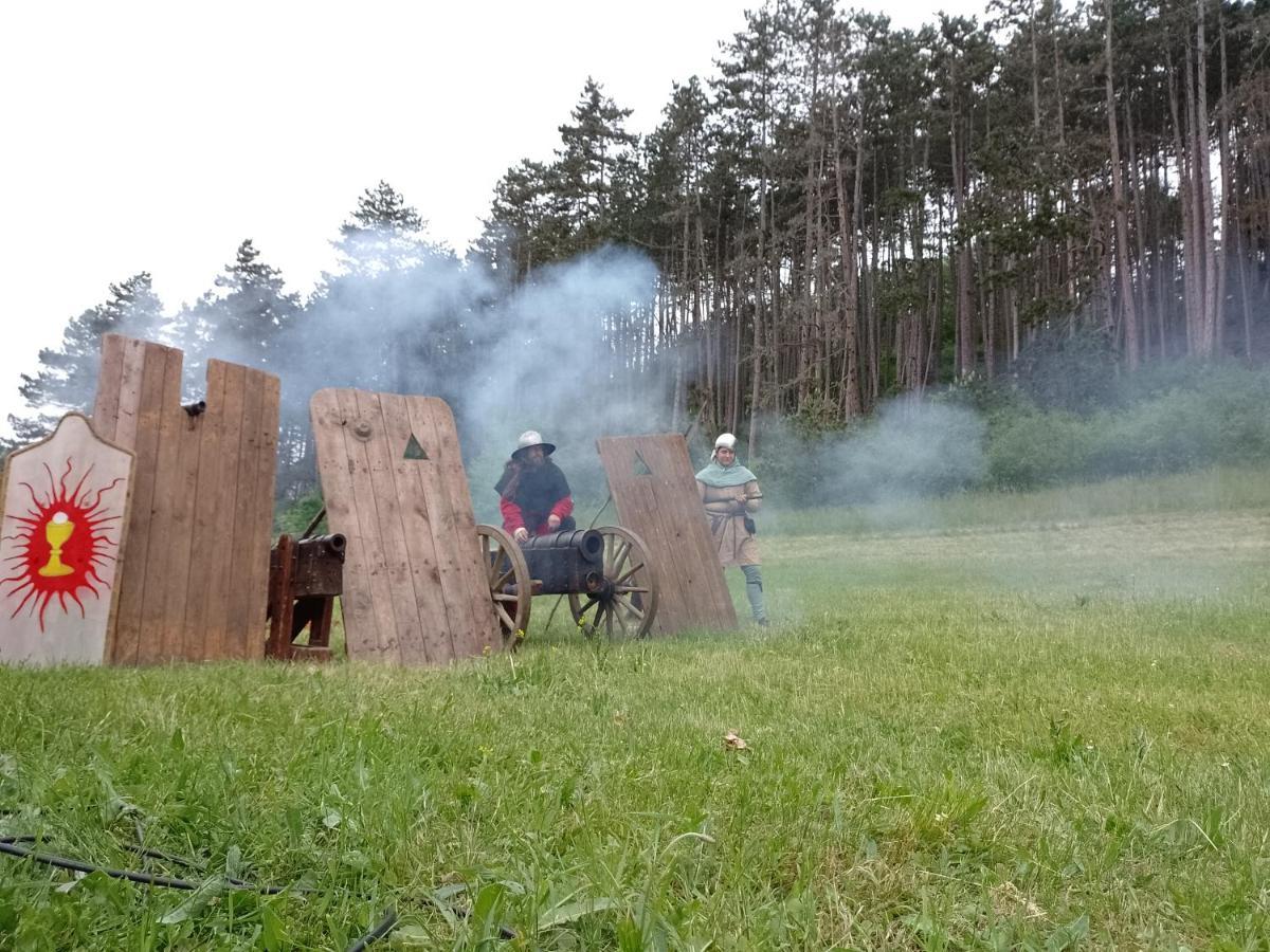 Penzion Litohlavy 17 - Na Samote U Lesa Králŭv Dvŭr Dış mekan fotoğraf